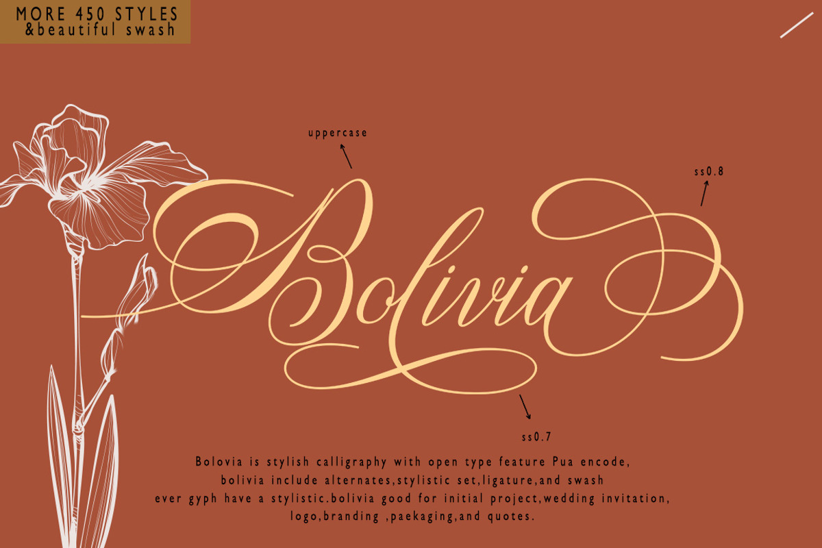 Bolivia Script, a Script Font by Madjack.font (Photo 6 of 9)