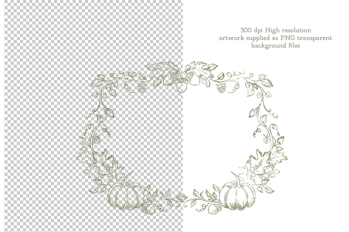 Autumn Botanical Sage Green Set, a Seasonal Illustration by AlenaVlasko stock Market (Photo 2 of 7)