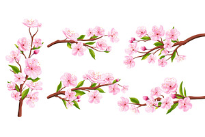 Set of cherry blossom branches, an Object Illustration by Yayasya