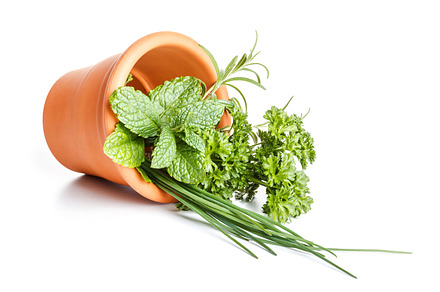 Herbs In Basket preview 6
