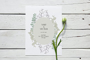 PLANTS & HERBS illustrations set, a Healthcare Illustration by Yuliia Lashevska (Thumbnail 10 of 14)