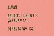 Yamas | A Soft Modern Serif Font, a Serif Font by Taylor Penton (Thumbnail 6 of 6)