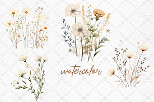 Wild Dry Pressed Flowers Clipart