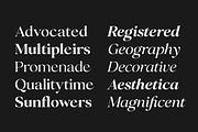 Perfect Challenge Serif Family, a Serif Font by Mulkan Nazir (Thumbnail 4 of 22)