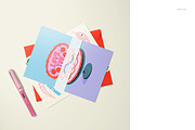 A5 Cards Mockup Set, a Merchandise Mockup by creatsy5 (Thumbnail 9 of 17)