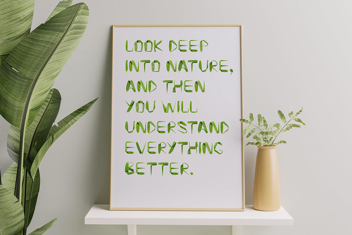 Reed Font, a Font by Handmadefont (Photo 4 of 9)