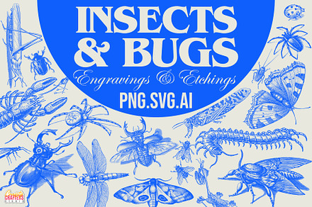 300+ Vintage Insects & Bugs Etchings, a Graphic by Craftsy Crafters