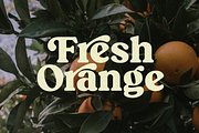 Magical Night - Retro Serif, a Serif Font by Viswell (Thumbnail 3 of 10)