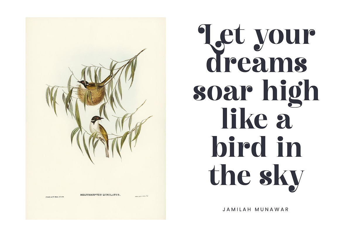 Giglik Merkia Elegant Serif Bold, a Serif Font by Letterena Studios (Photo 4 of 15)