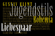 Repyakh Serif type family, a Serif Font by LevType (Thumbnail 7 of 14)