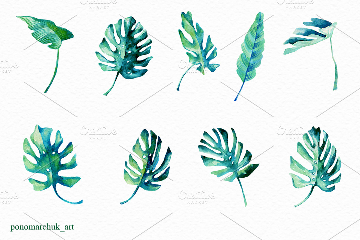 Tropical leaves set, a Decorative Illustration by Colibri Watercolor (Photo 2 of 3)