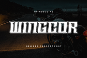 Wingcor, a Serif Font by riotama85 (Thumbnail 1 of 5)