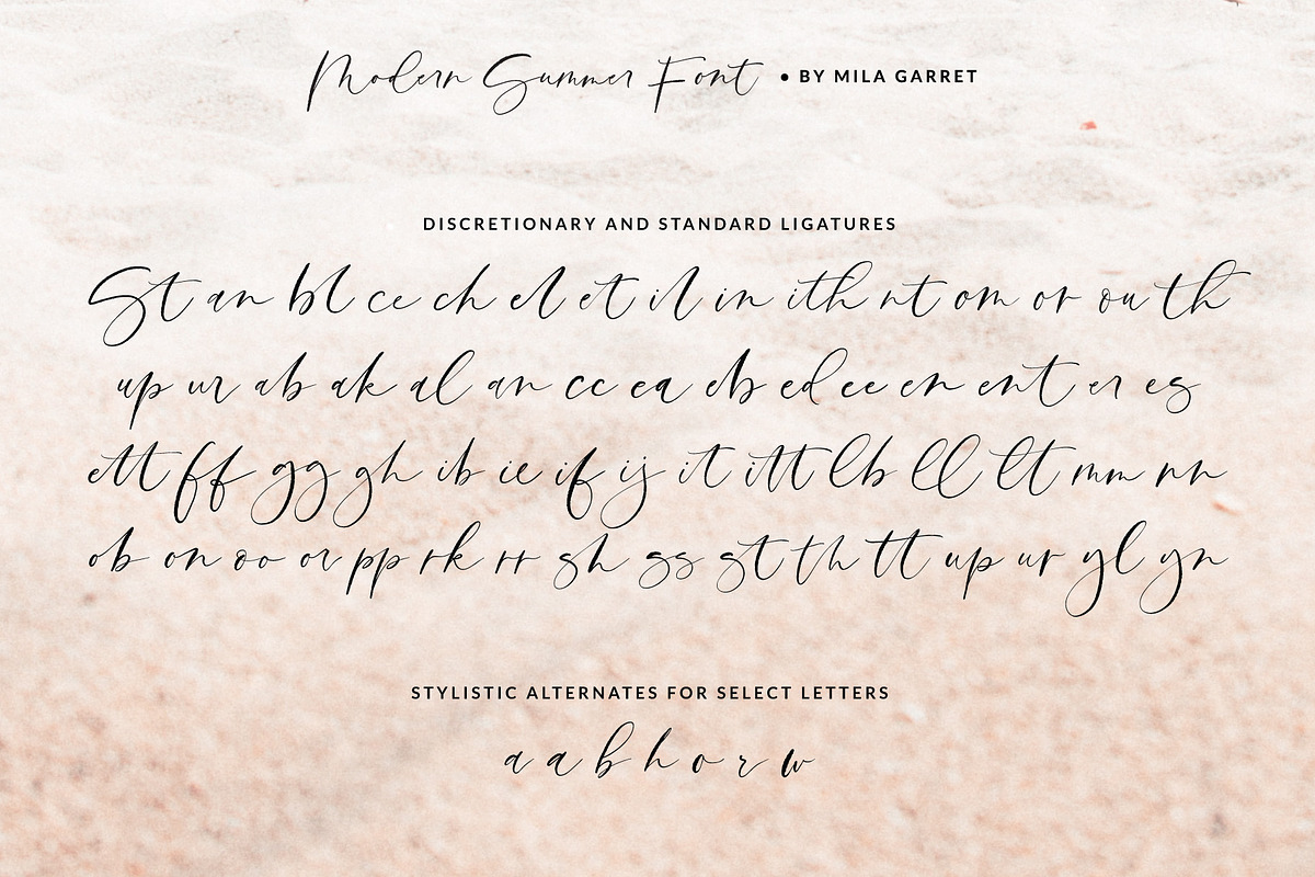 Modern Summer Calligraphy Logo Font, a Script Font by Mila Garret (Photo 12 of 14)