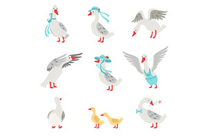 Collection of Geese and Goslings in, an Animal Illustration by TopVectors