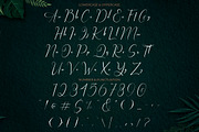 Chester Chesire - Elegant Font Duo, a Font by PutraCetol Studio (Thumbnail 10 of 13)