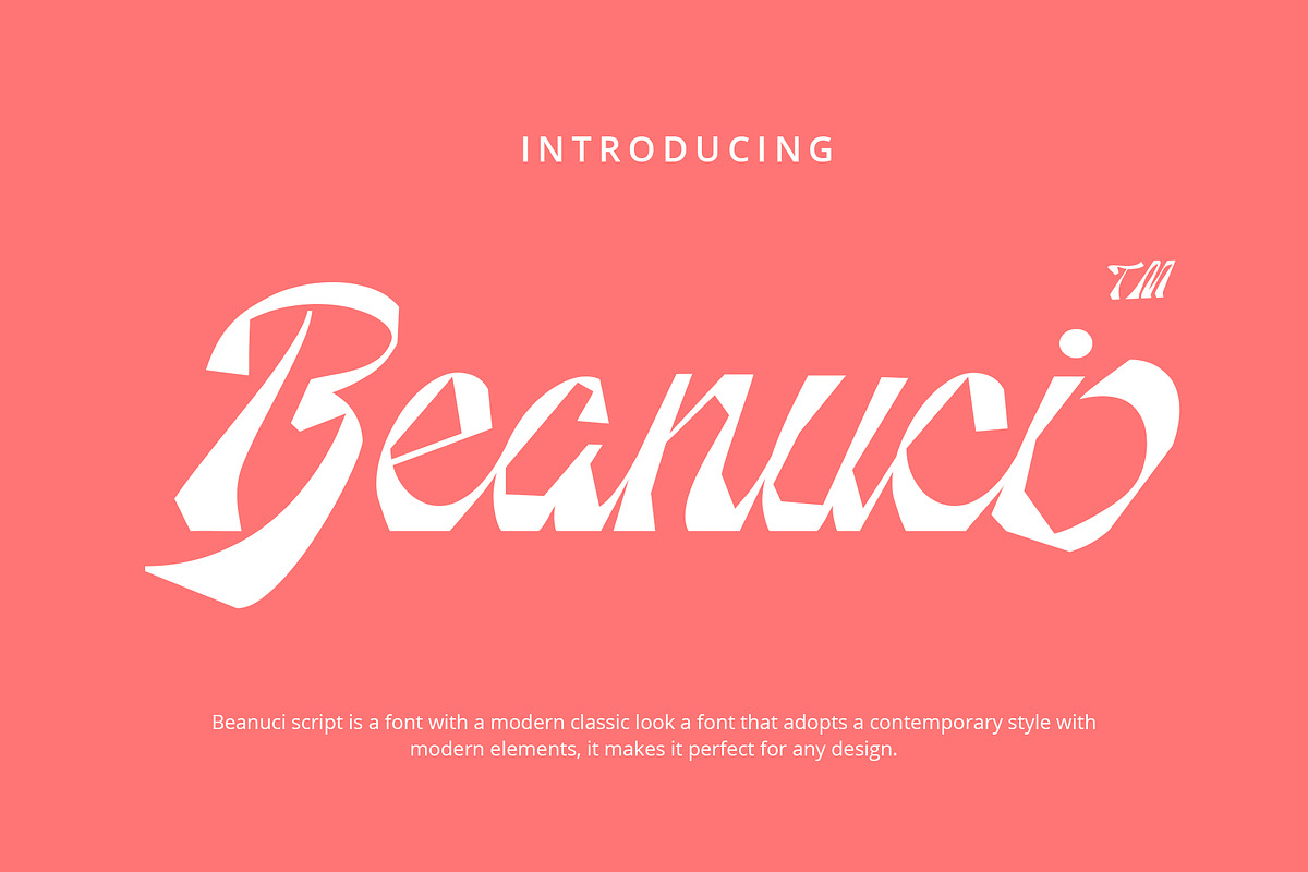 Beanuci, a Script Font by Damelev (Photo 1 of 13)