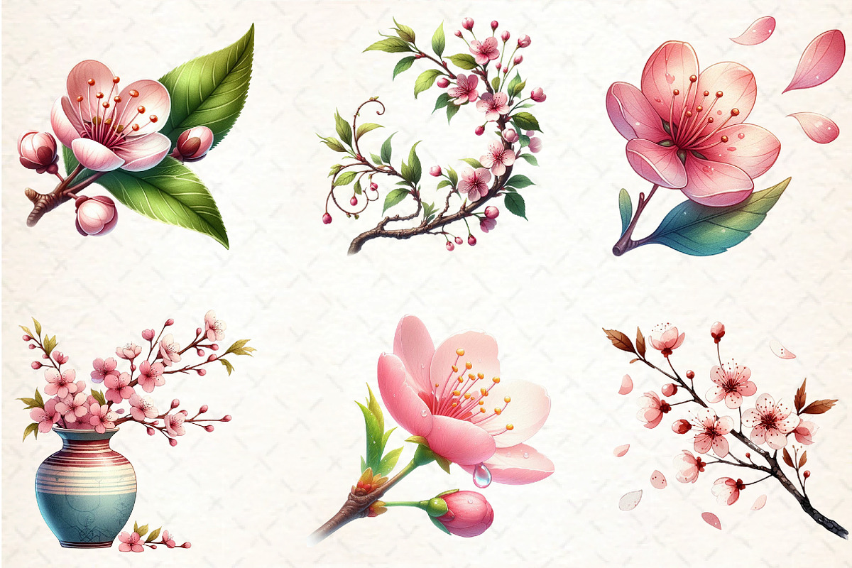 Japanese Cherry Blossom Clipart, an Illustration by DreamCafeArt (Photo 3 of 7)