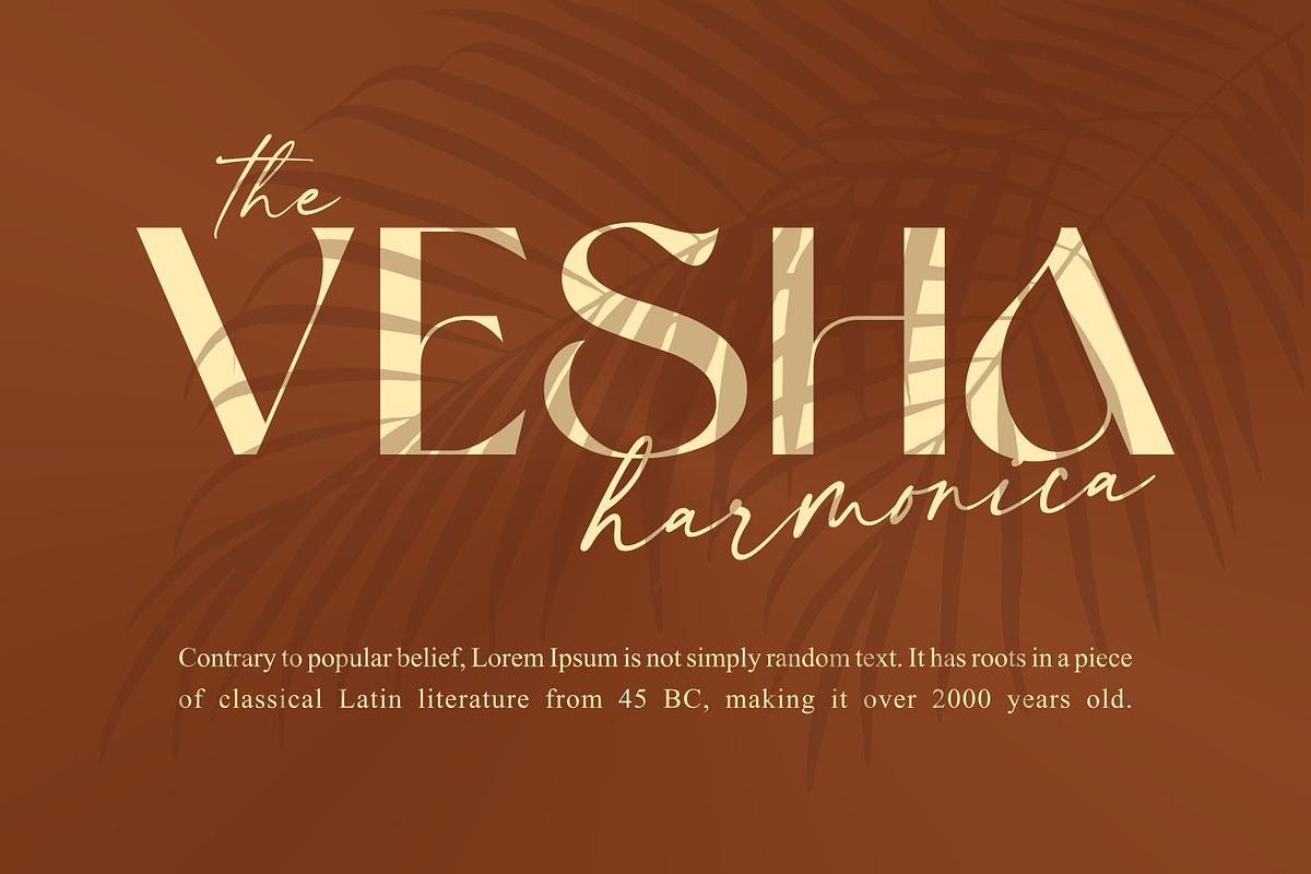 Moana Falisa – Modern Elegant Serif, a Serif Font by WhymoreArt (Photo 5 of 11)