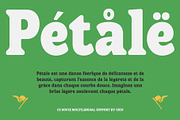 CS Dovie – Retro Font, a Serif Font by Craft Supply Co. (Thumbnail 6 of 8)