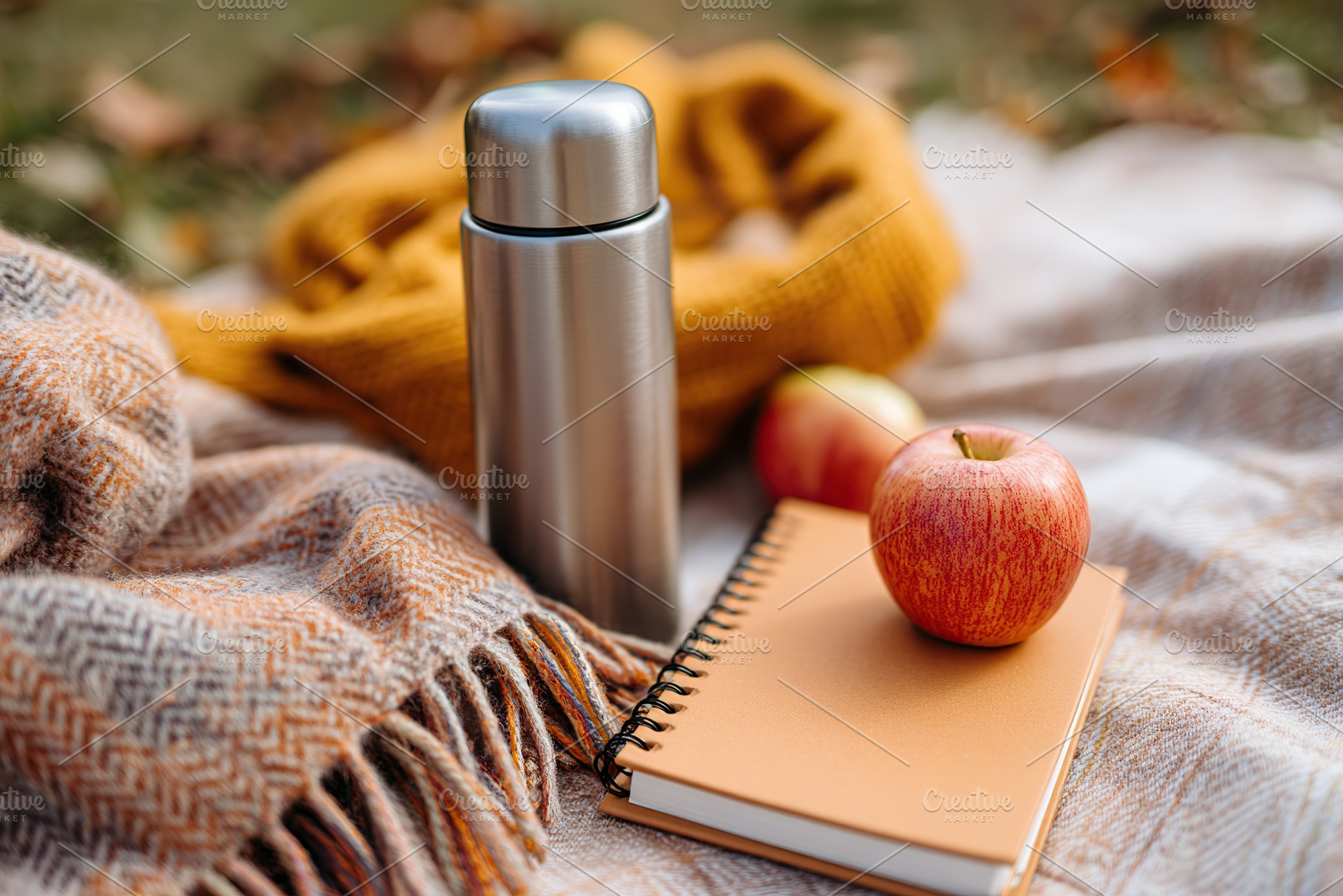 Enjoying a wellness picnic with apples, a notebook, and a cozy blanket in a tra, a Photo by AlyaAnd