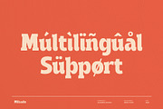 Mikado – Modern Serif Font, a Serif Font by Almeera Std (Thumbnail 6 of 6)