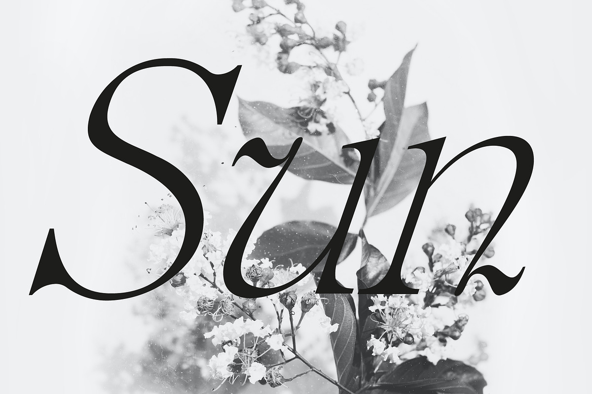 Furlong Vintage Serif Font, a Serif Font by Tropical Type (Photo 8 of 11)