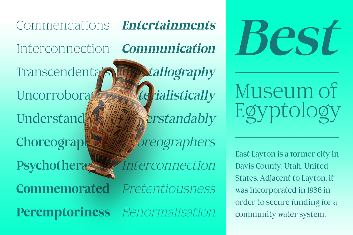 Aganote Typeface | 91 Style Font, a Serif Font by Bosstype Studio (Photo 6 of 12)