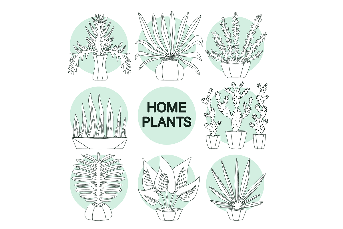 20+ icons of home plants in pots, a Solid Icon by ОльгаМороз (Photo 9 of 14)
