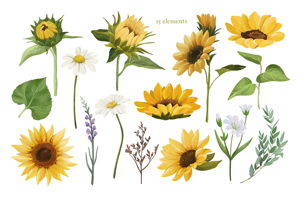 Watercolor Sunflower PNG Clipart, an Object Graphic by ArtGiftsStudio (Photo 2 of 6)