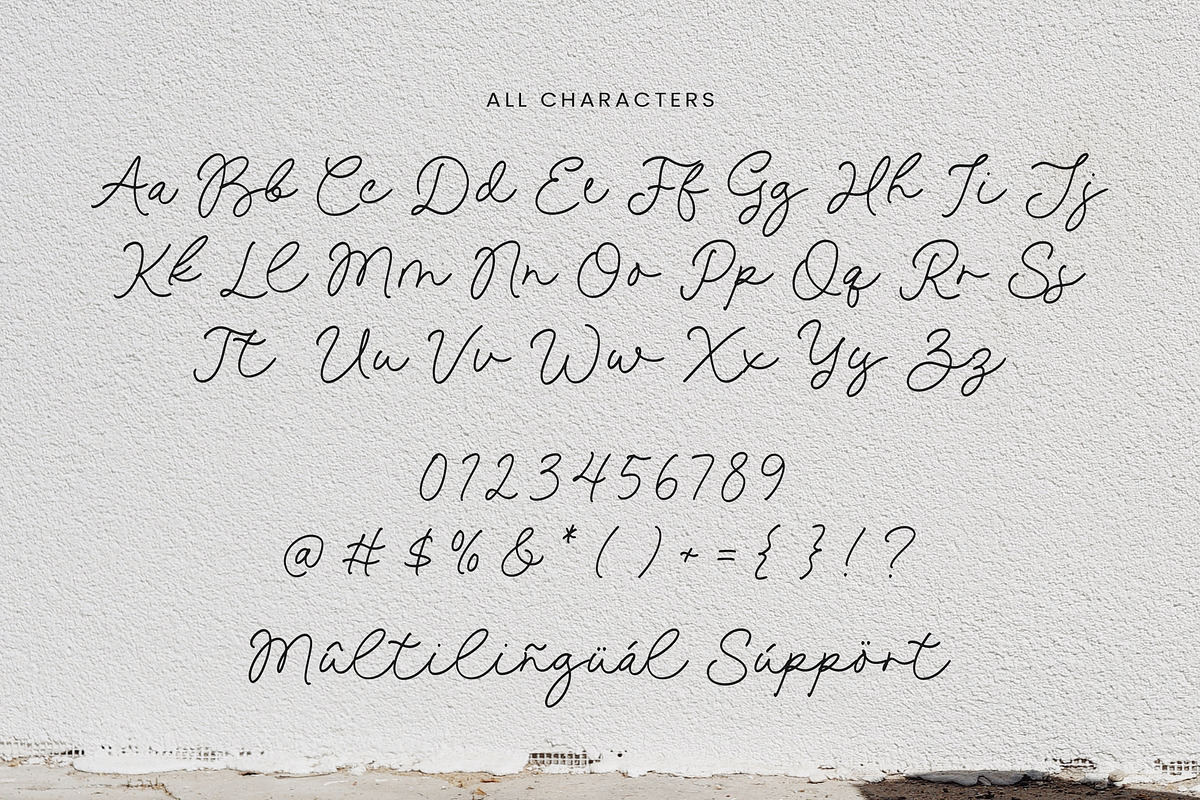 Hamlin Emilia Font, a Script Font by Timurtype (Photo 6 of 7)