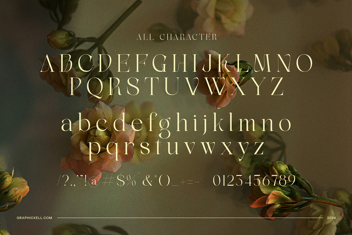 Nikolas Modern Serif Font, a Serif Font by Graphicxell (Photo 7 of 8)