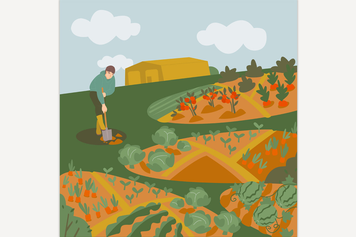 Young farmer working in allotment, a Person Illustration by Anna's Shop