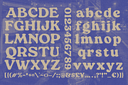 TEENGOEK DISPLAY TYPEFACE, a Serif Font by Naturaworks Creative (Thumbnail 3 of 4)