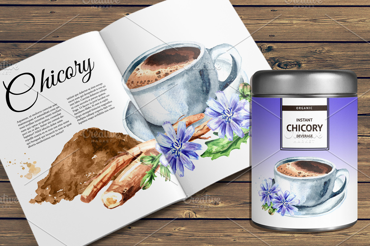 Chicory. Watercolor collection, a Food Illustration by Daria Ustiugova (Photo 9 of 9)