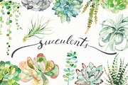 watercolor succulent set, a Decorative Illustration by artnLera (Thumbnail 1 of 2)