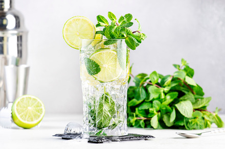 Mojito summer alcoholic cocktail drink with lime, white rum, sod, a Food & Drink Photo by 5PH