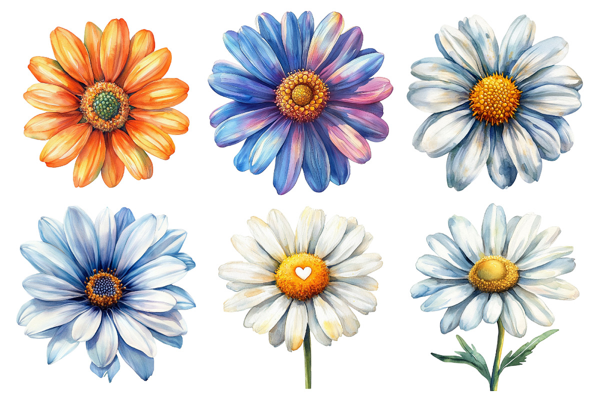 Watercolor Daisy Clipart Bundle, an Illustration by Daily.Designs (Photo 2 of 5)