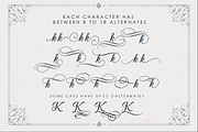 Beradon Script -Elegant Wedding font, a Font by BlackCatsMedia (Thumbnail 3 of 10)
