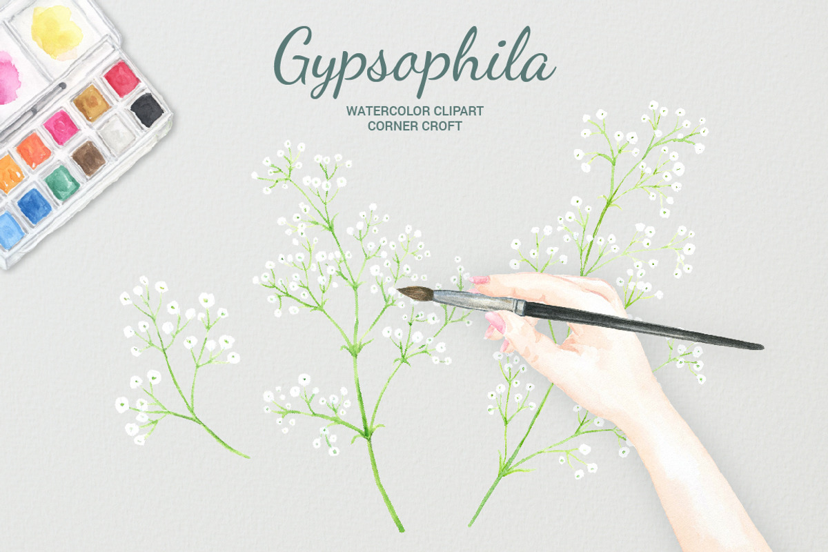 Watercolor Gypsophila Baby's Breath, an Illustration by Corner Croft (Photo 6 of 7)
