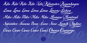 Excelsia Pro, a Script Font by Wiescher-Design (Thumbnail 8 of 11)