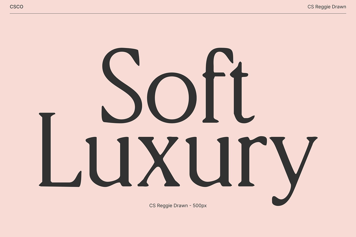 CS Reggie Drawn, a Serif Font by Craft Supply Co. (Photo 2 of 8)