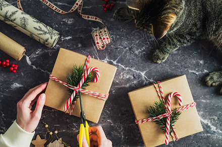 Female hands wrapping Christmas gift. Winter holiday preparation concept., a Holiday Photo by photoguns