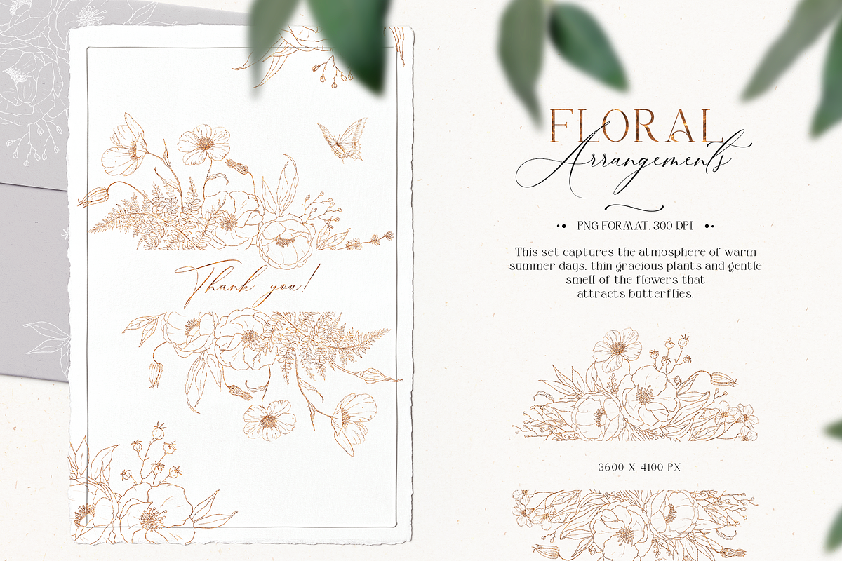 Flower field - line art floral set, a Decorative Illustration by Pamyatka Shop (Photo 8 of 11)