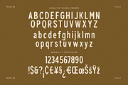 Cleudia Duo Font Sans Serif, a Sans Serif Font by Storytype Studio (Thumbnail 13 of 15)