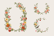 Wild Roses, a Decorative Illustration by olga.korneeva (Thumbnail 2 of 24)
