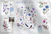 La Bucolica | Meadow Wildflowers Set, an Illustration by Inna Sinano (Thumbnail 5 of 9)