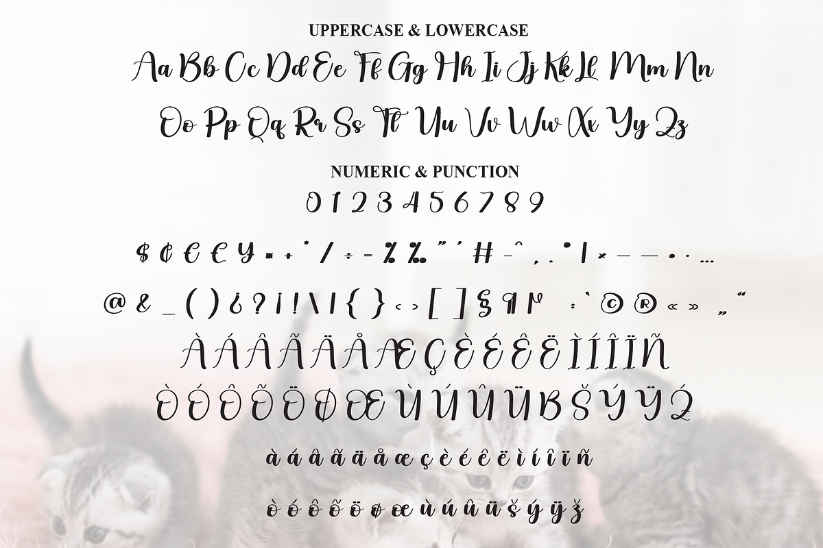 Kitten | Script Font, a Handwritten Font by Scratchones (Photo 7 of 8)
