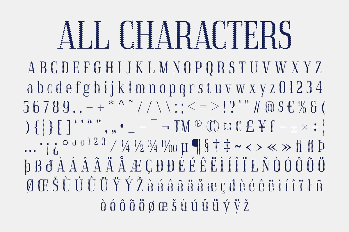 Acelon Distort, a Serif Font by Craft Supply Co. (Photo 8 of 8)