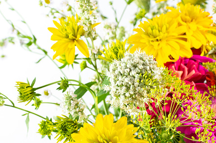 Summer bouquet of seasonal flowers, a Nature Photo by Pandateam