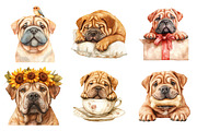 Shar-Pei Dog Watercolor Clipart, an Illustration by SinaCreation (Thumbnail 3 of 5)